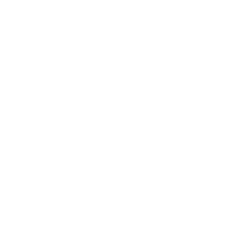 Logo Salden Transport