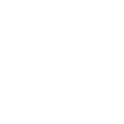 Logo Zuid Marketing